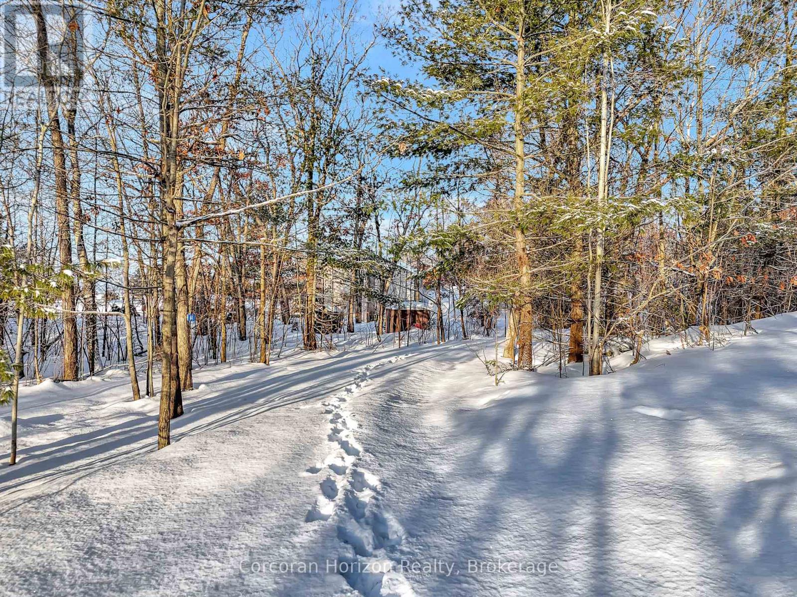 64 Wolverine Beach Road, Georgian Bay, Ontario  L0K 1S0 - Photo 26 - X12022882