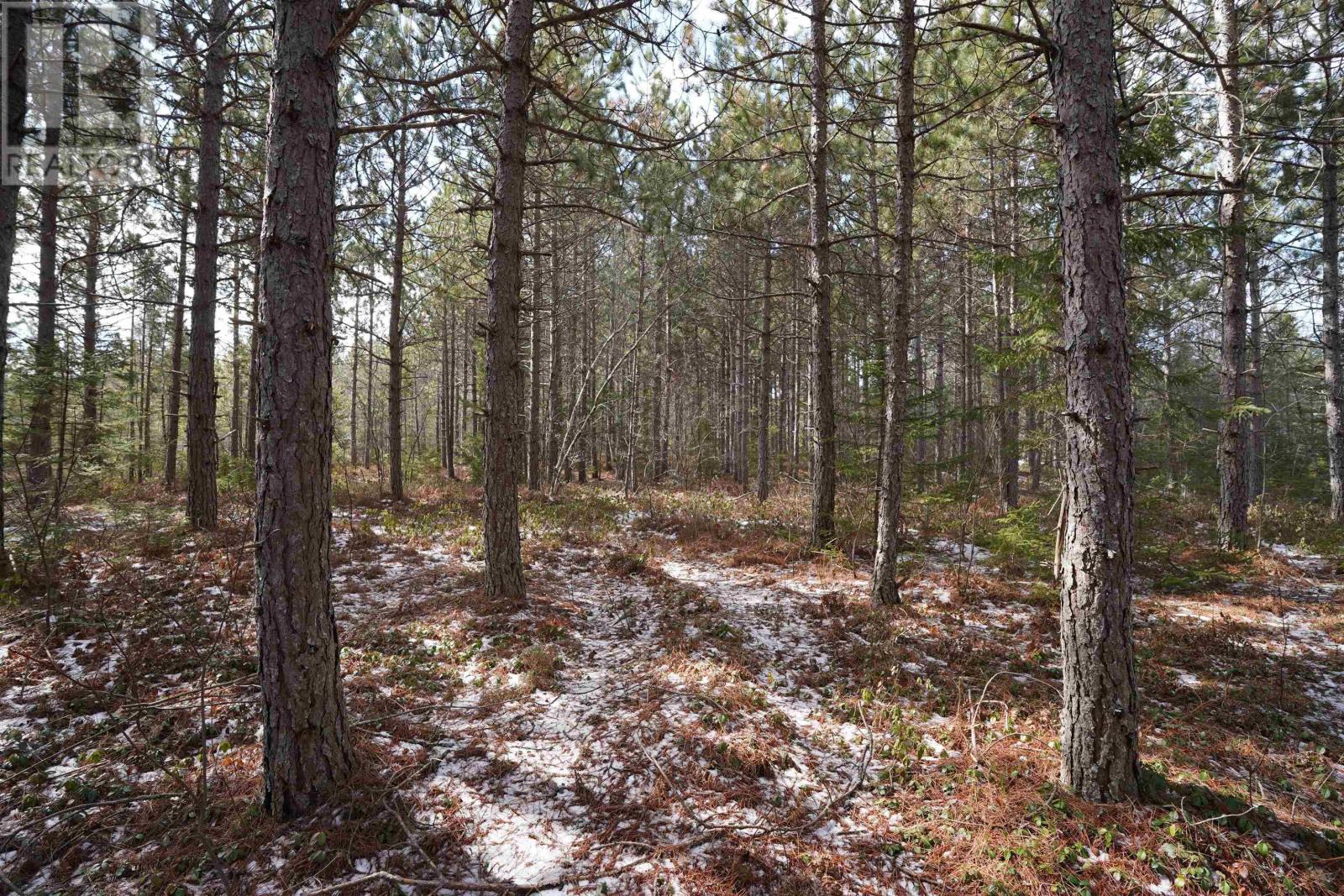 Highway 201, South Farmington, Nova Scotia  B0P 1W0 - Photo 10 - 202505010