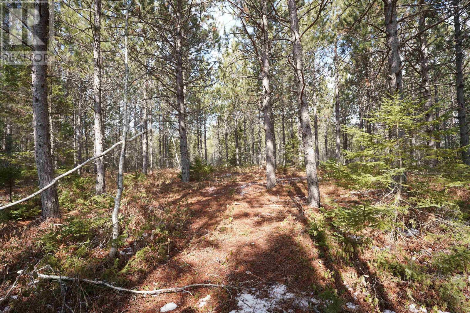 Highway 201, South Farmington, Nova Scotia  B0P 1W0 - Photo 13 - 202505010