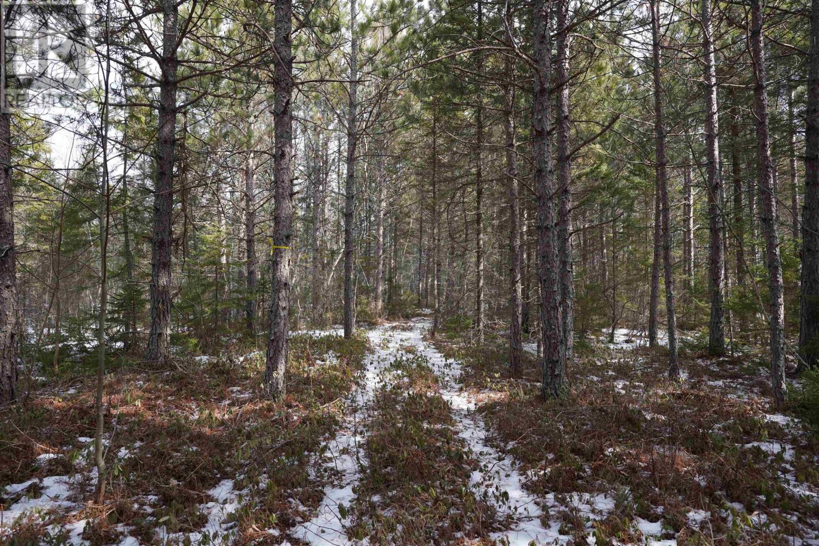 Highway 201, South Farmington, Nova Scotia  B0P 1W0 - Photo 9 - 202505010