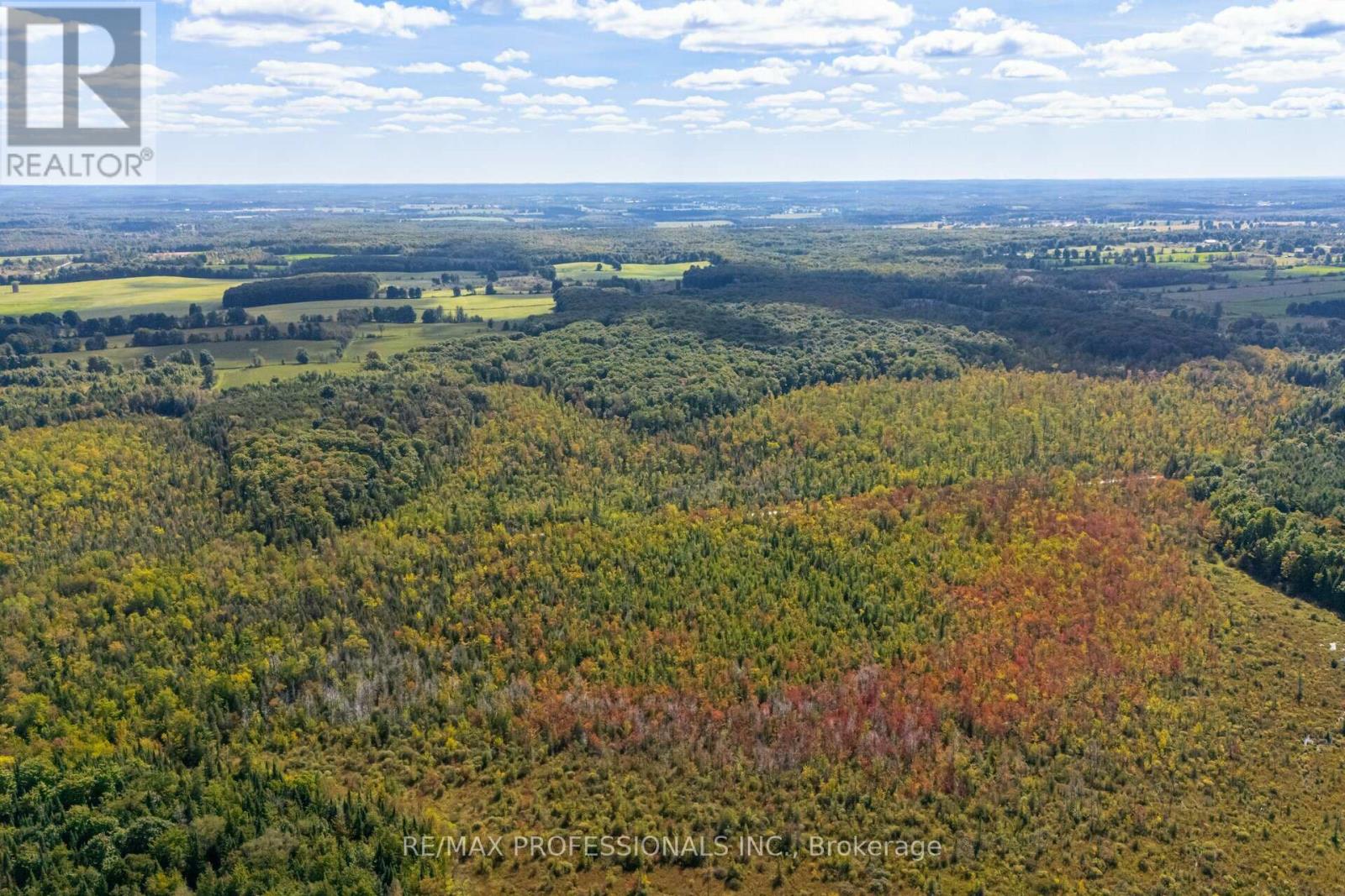 135850 9th Line, Grey Highlands, Ontario  N0C 1H0 - Photo 39 - X9348312
