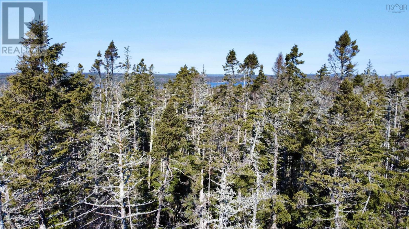 Lot 7 East Petpeswick Road, East Petpeswick, Nova Scotia  B0J 2L0 - Photo 3 - 202505023