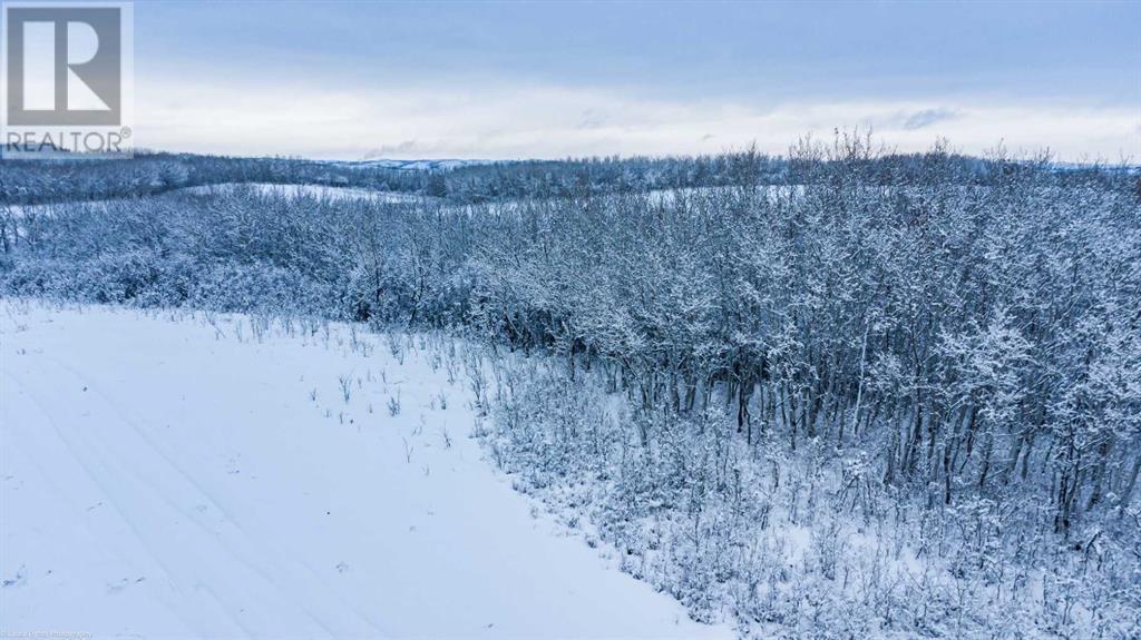 Ne & Se 21-50-25-3, Rural, Saskatchewan  S0M 0W0 - Photo 10 - A2182859