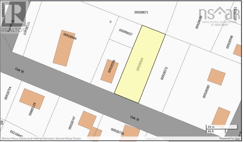 Lot 45 Oak Street, Trenton, Nova Scotia  B0K 1X0 - Photo 4 - 202500889