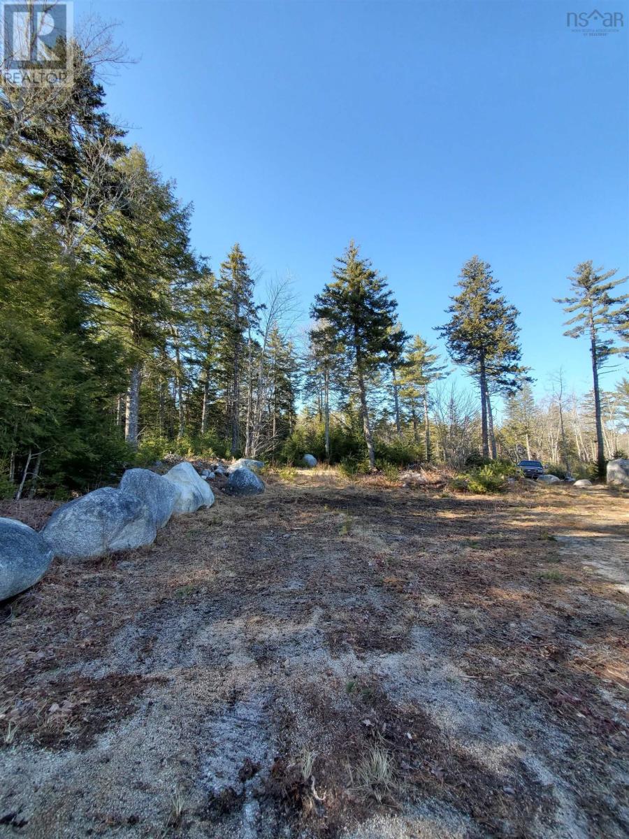 2480 Woodstock Road, Walden, Nova Scotia  B0J 2E0 - Photo 5 - 202501876