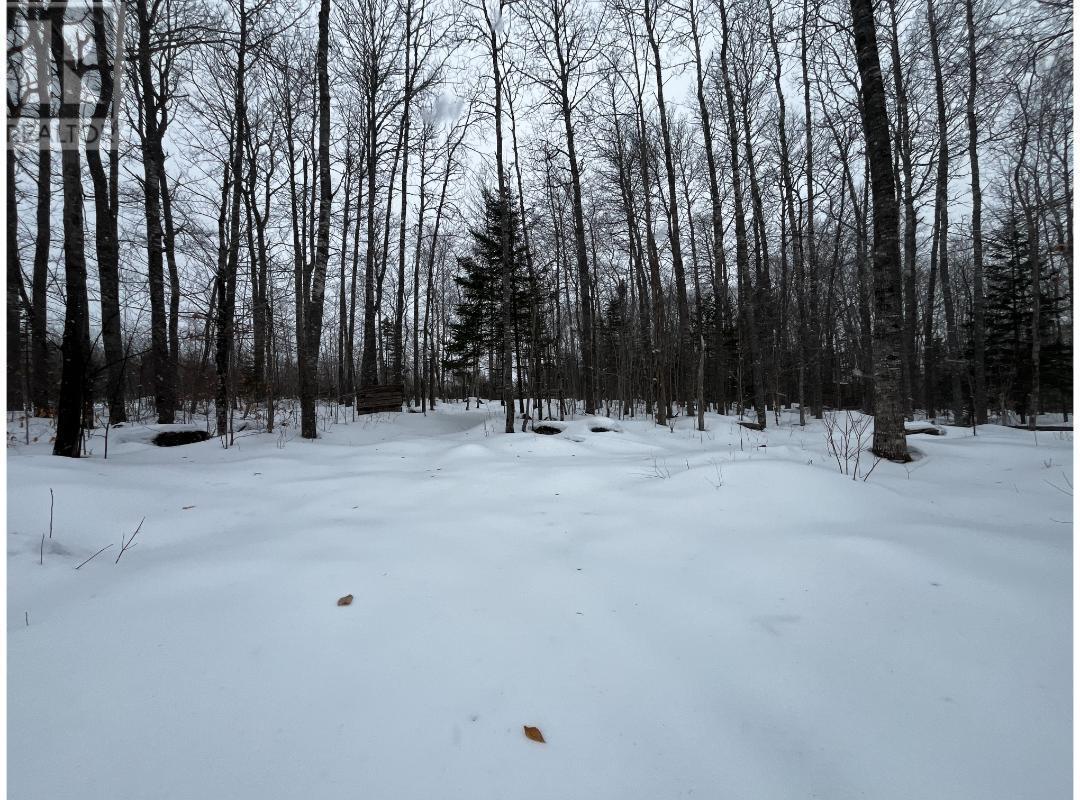 2546 Virginia Road, West Springhill, Nova Scotia  B0S 1A0 - Photo 15 - 202503790