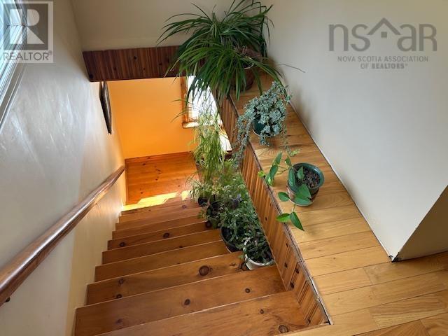 Lot 1-A 8208 West Bay Highway, French Cove, Nova Scotia  B0E 3B0 - Photo 16 - 202503837