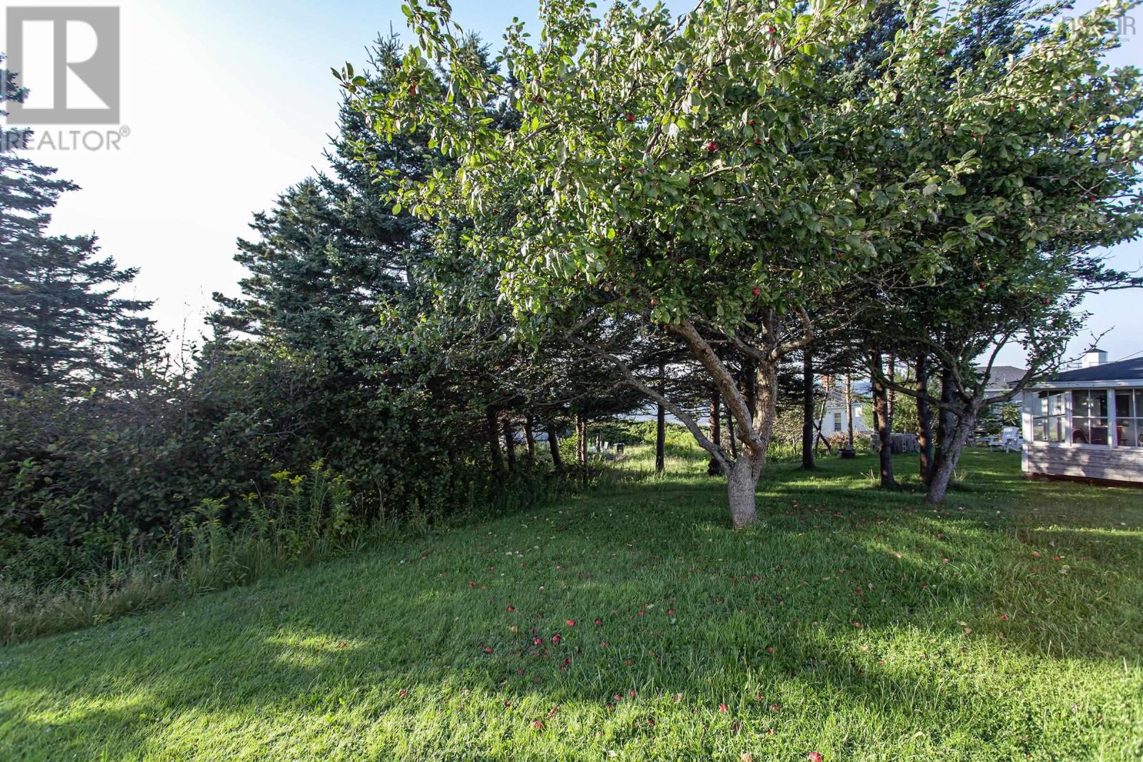 17 Gordon Road, Margaretsville, Nova Scotia  B0S 1N0 - Photo 5 - 202503890