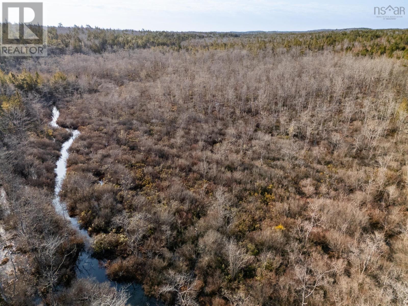 Highway 308, Springhaven, Nova Scotia  B0W 3M0 - Photo 14 - 202504736