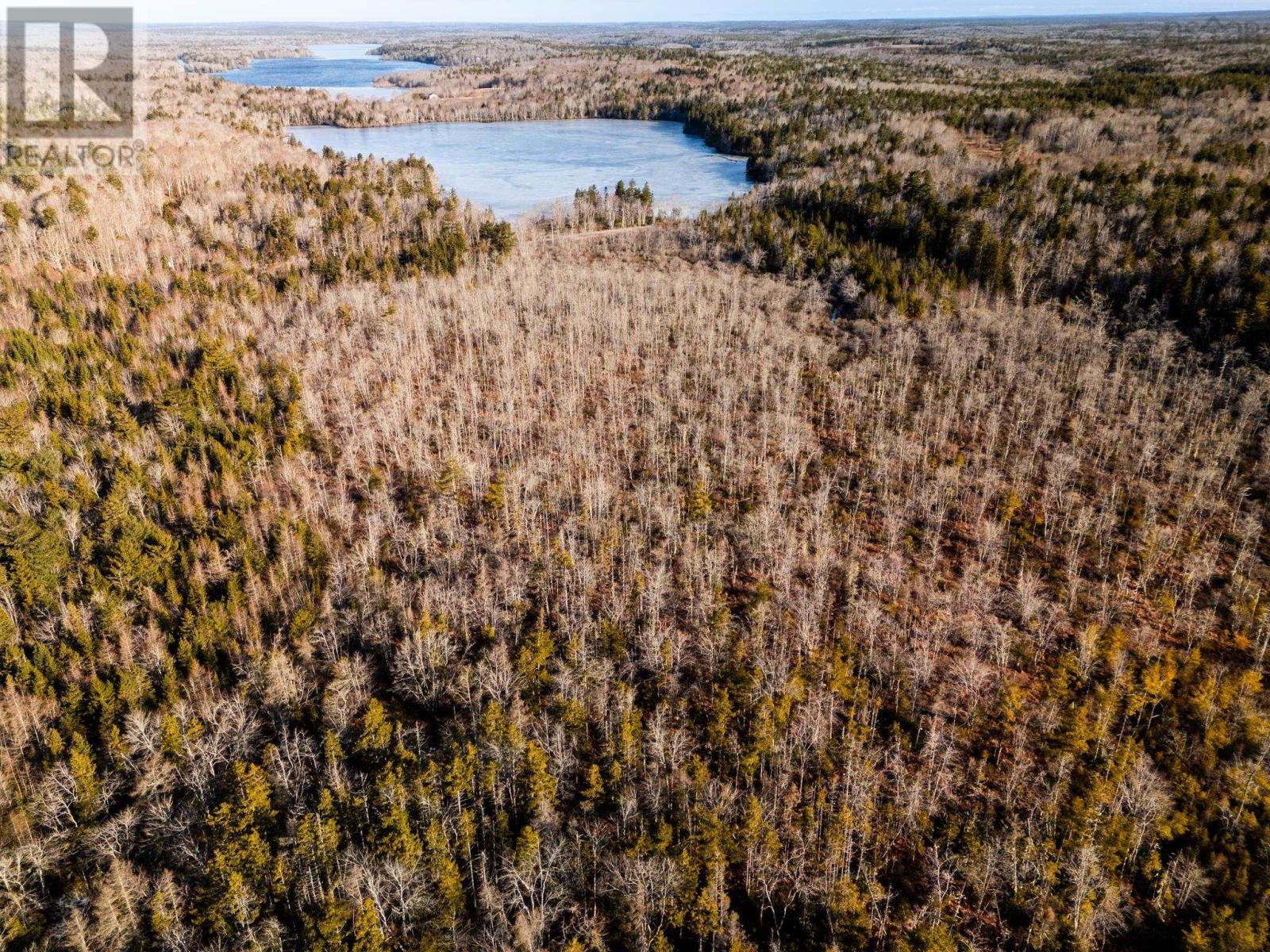 Highway 308, Springhaven, Nova Scotia  B0W 3M0 - Photo 18 - 202504736