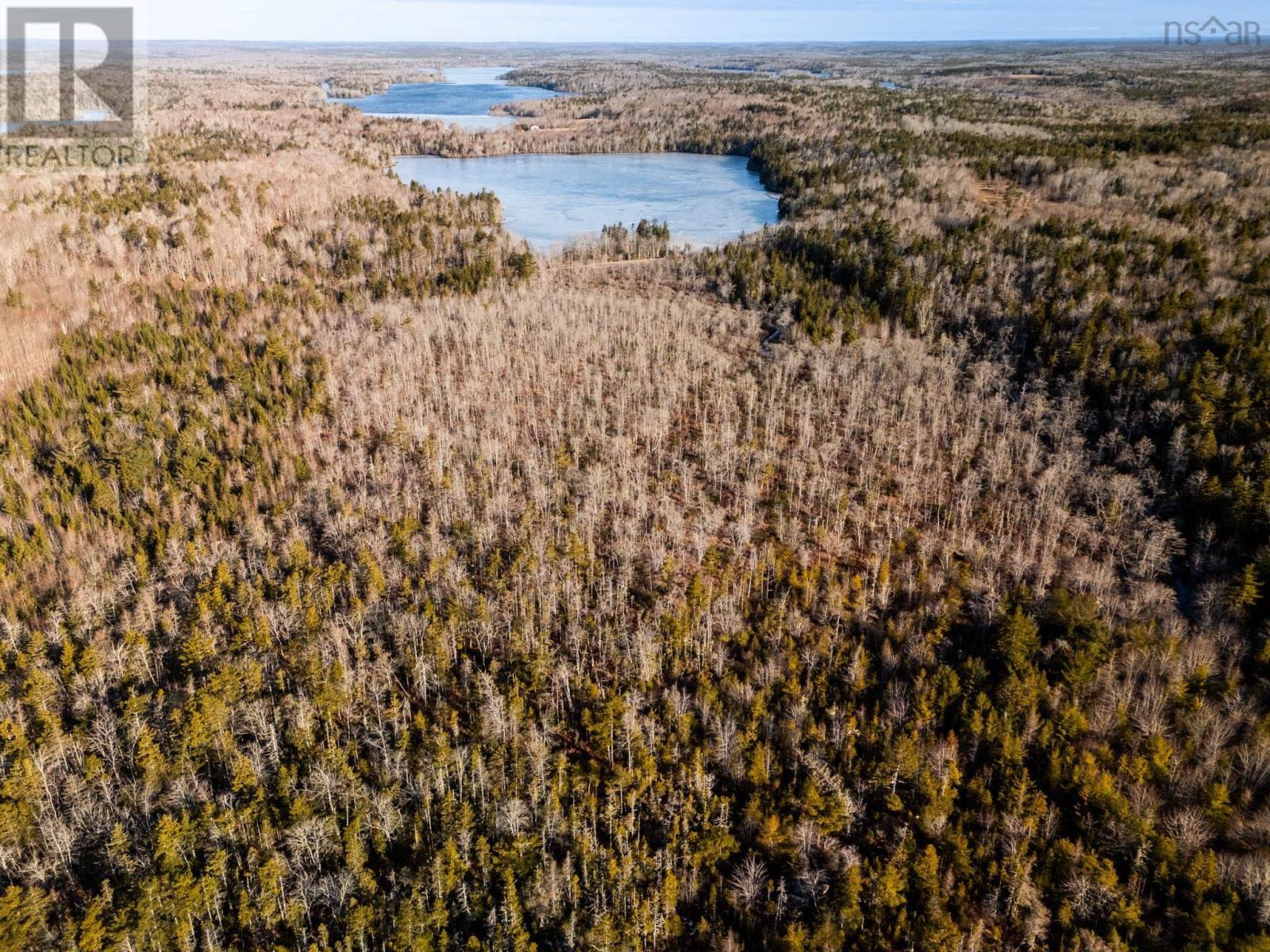 Highway 308, Springhaven, Nova Scotia  B0W 3M0 - Photo 19 - 202504736