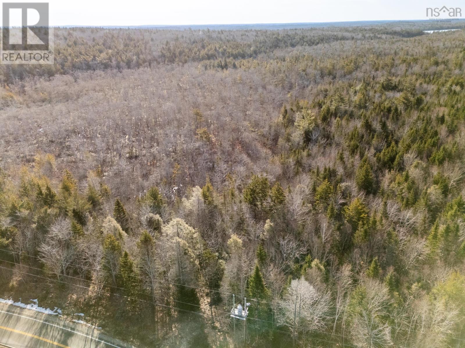 Highway 308, Springhaven, Nova Scotia  B0W 3M0 - Photo 22 - 202504736