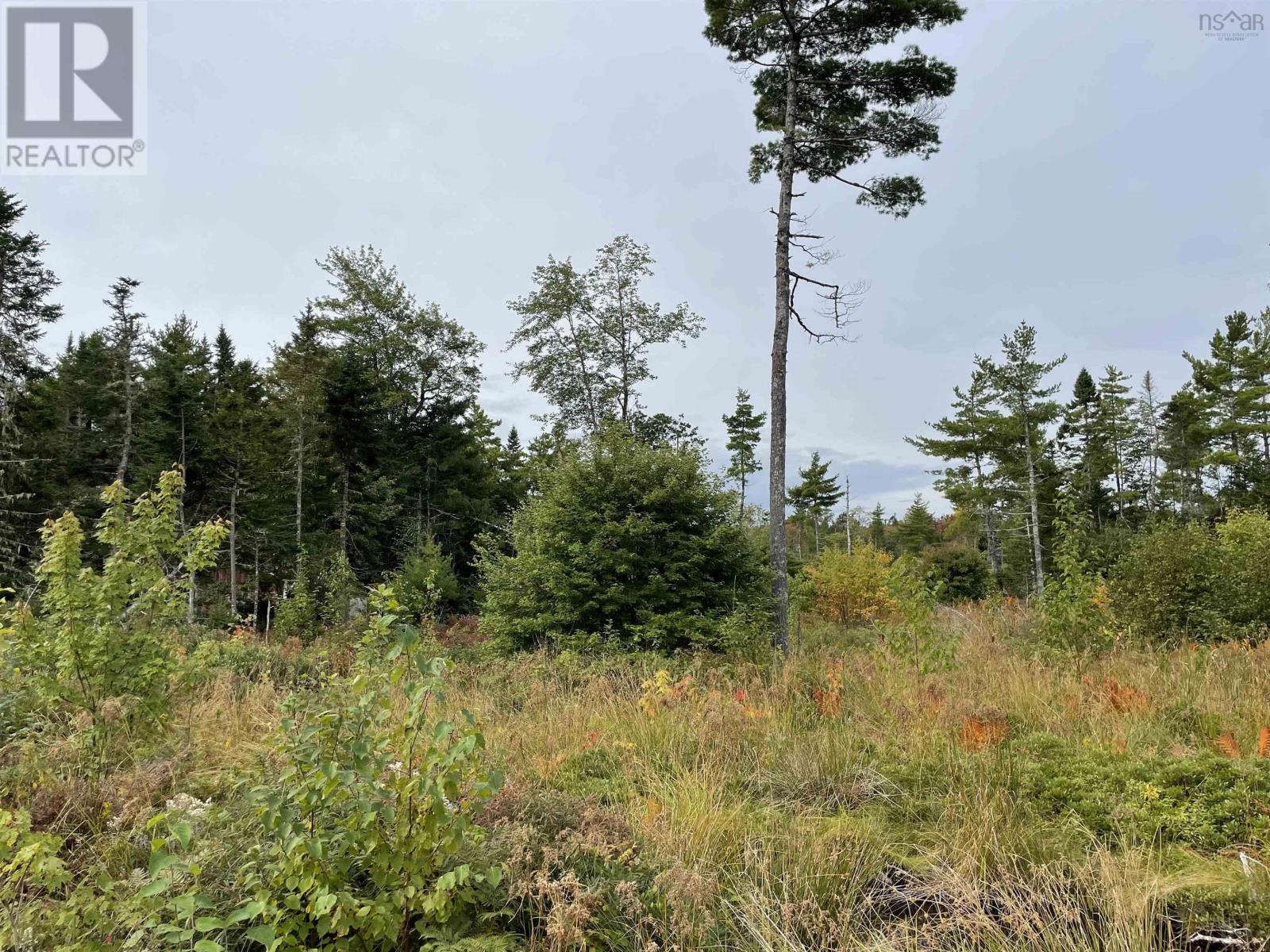 Lot 24-1 Lower Stave Lake, Upper Ohio, Nova Scotia  B0T 1W0 - Photo 15 - 202503315