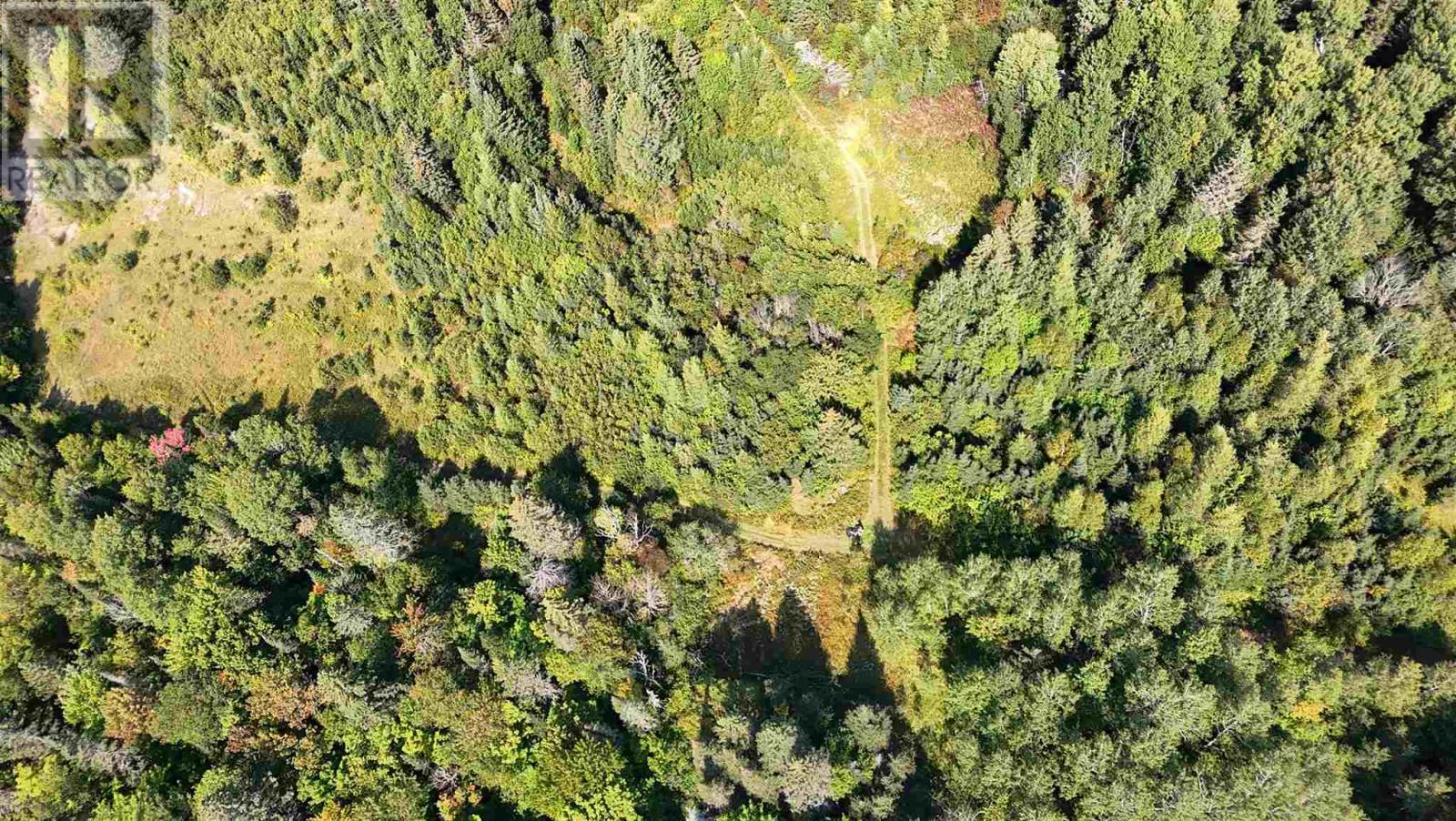 Pt Sec 37 & 38 Off Pickard Rd, Havilland, Ontario  P0S 1A0 - Photo 28 - SM250483