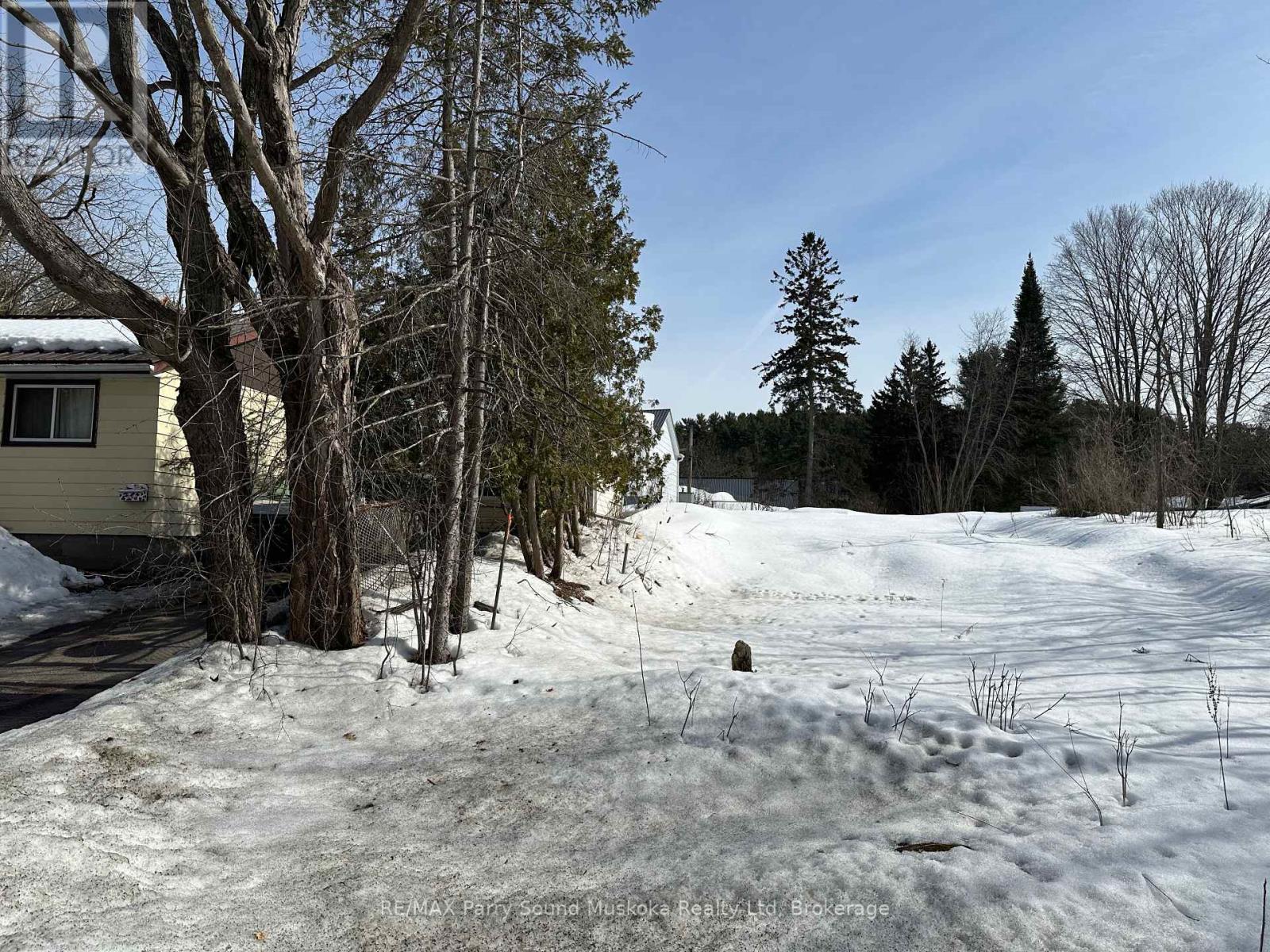 11 A Addie Street, Parry Sound, Ontario  P2A 2J9 - Photo 3 - X12023135