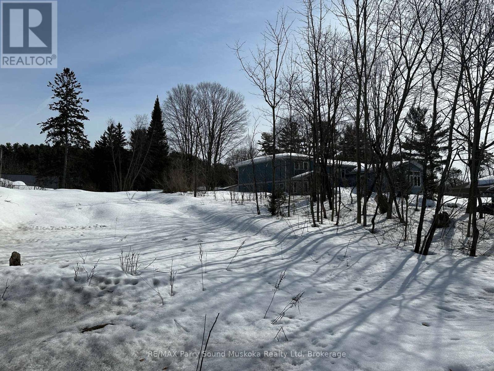 11 A Addie Street, Parry Sound, Ontario  P2A 2J9 - Photo 4 - X12023135