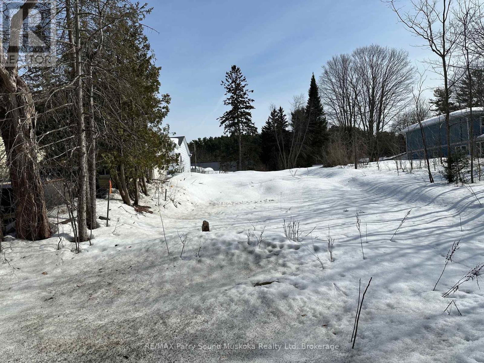 11 A Addie Street, Parry Sound, Ontario  P2A 2J9 - Photo 6 - X12023135