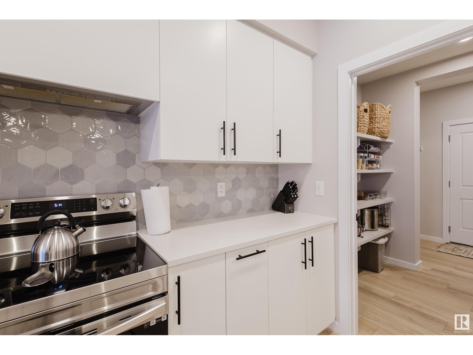 Property at 103 STILES BN image 3