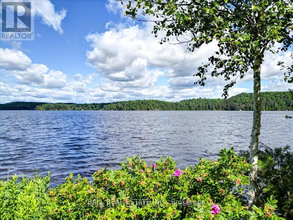 26909 Highway 28 S, Highlands East, Ontario  K0L 1M0 - Photo 32 - X12023222