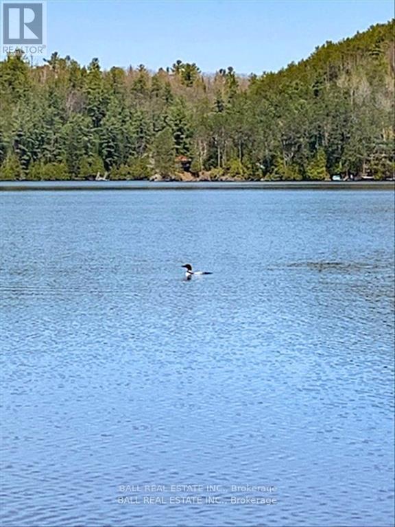 26909 Highway 28 S, Highlands East, Ontario  K0L 1M0 - Photo 33 - X12023222