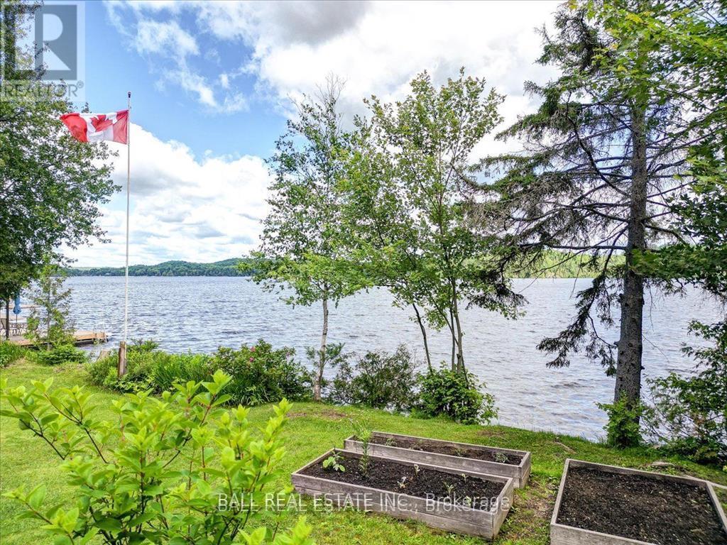 26909 Highway 28 S, Highlands East, Ontario  K0L 1M0 - Photo 39 - X12023222