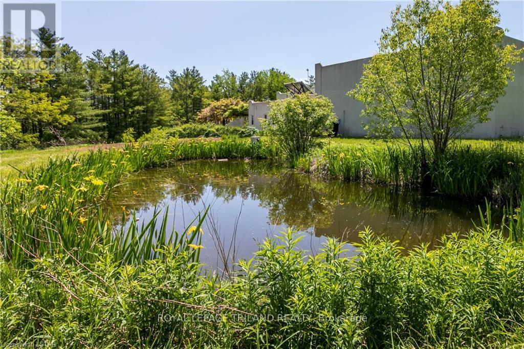 15668 Furnival Road, West Elgin, Ontario  N0L 2N0 - Photo 4 - X8259436