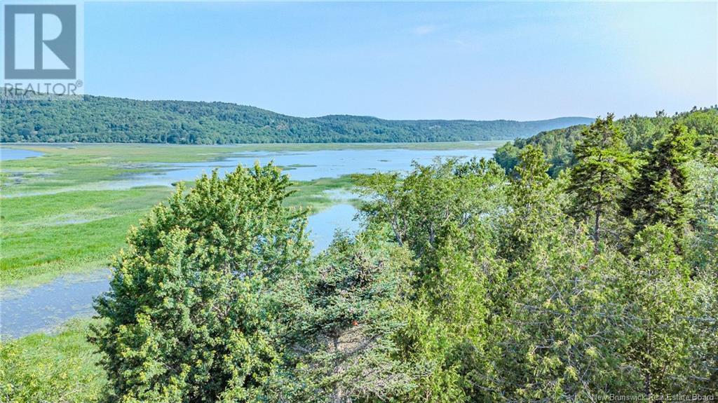 Land Darlings Island Road, Nauwigewauk, New Brunswick  E5N 6V7 - Photo 3 - NB114232