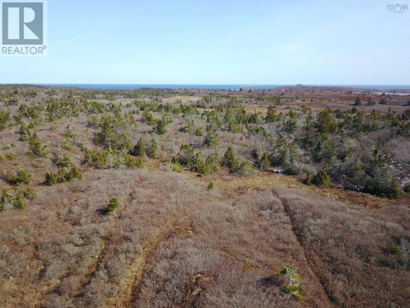 217 South Side Petit De Grat Rd, Alderney Point, Nova Scotia  B0E 2L0 - Photo 9 - 202505045