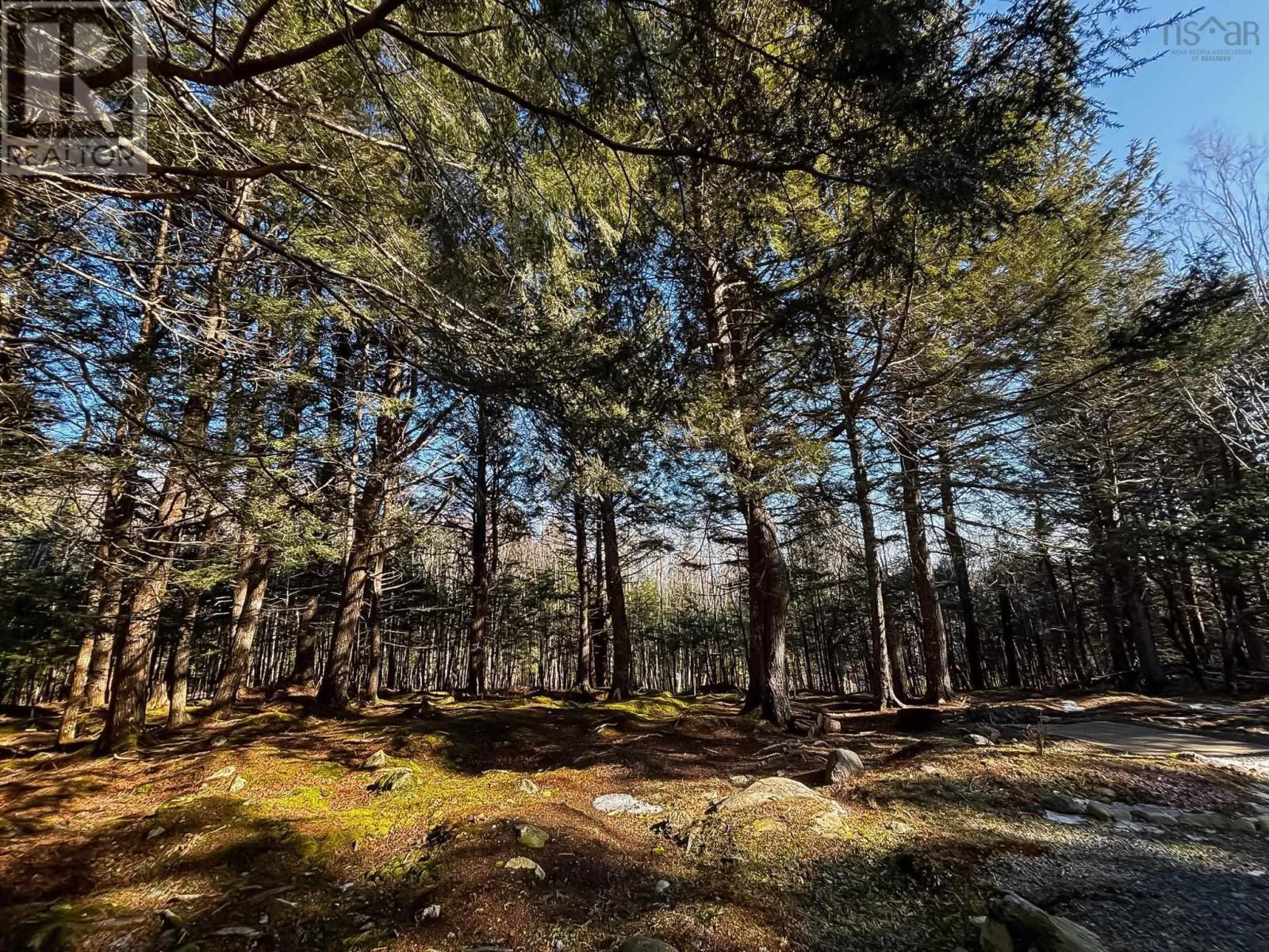 145 Sunset Linkway, Labelle, Nova Scotia  B0T 1E0 - Photo 35 - 202504744