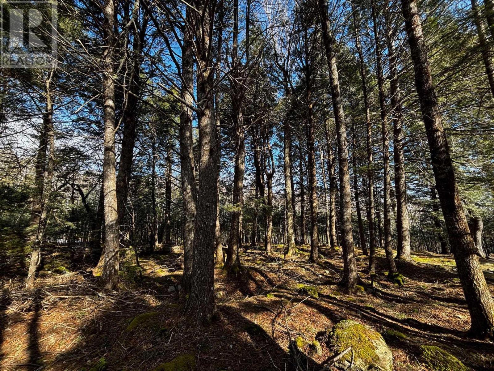 145 Sunset Linkway, Labelle, Nova Scotia  B0T 1E0 - Photo 38 - 202504744