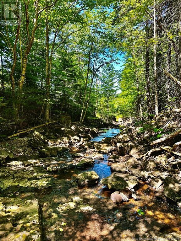 Property at 242 Kennebecasis Drive image 5