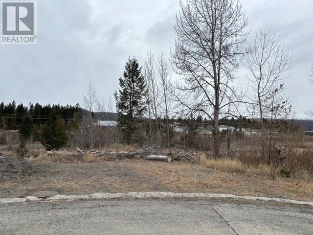 133 Birch Crescent, logan lake, British Columbia