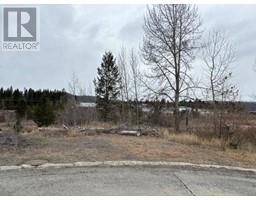 133 Birch Crescent, logan lake, British Columbia