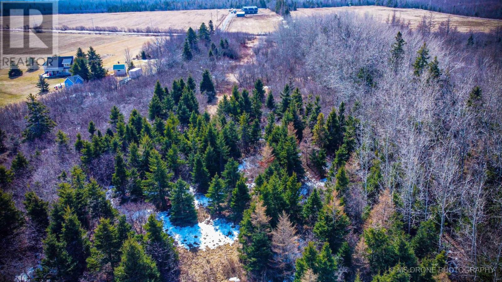 285 Fox Harbour South Road, North Wallace, Nova Scotia  B0K 1Y0 - Photo 19 - 202505063