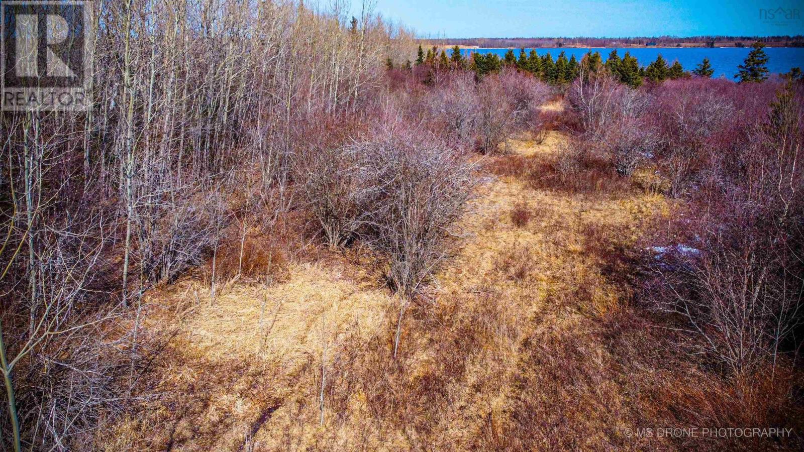 285 Fox Harbour South Road, North Wallace, Nova Scotia  B0K 1Y0 - Photo 26 - 202505063