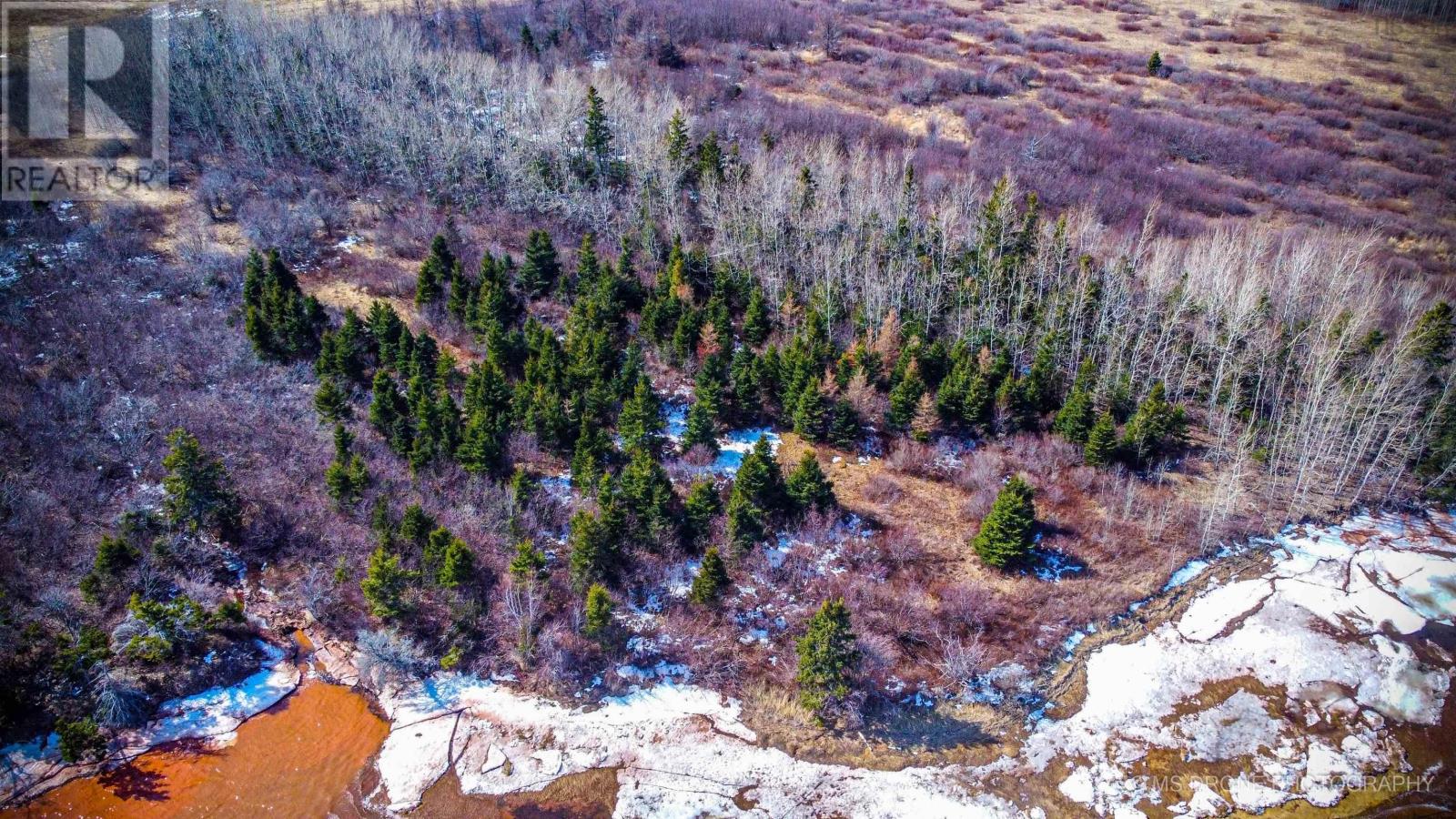 285 Fox Harbour South Road, North Wallace, Nova Scotia  B0K 1Y0 - Photo 35 - 202505063