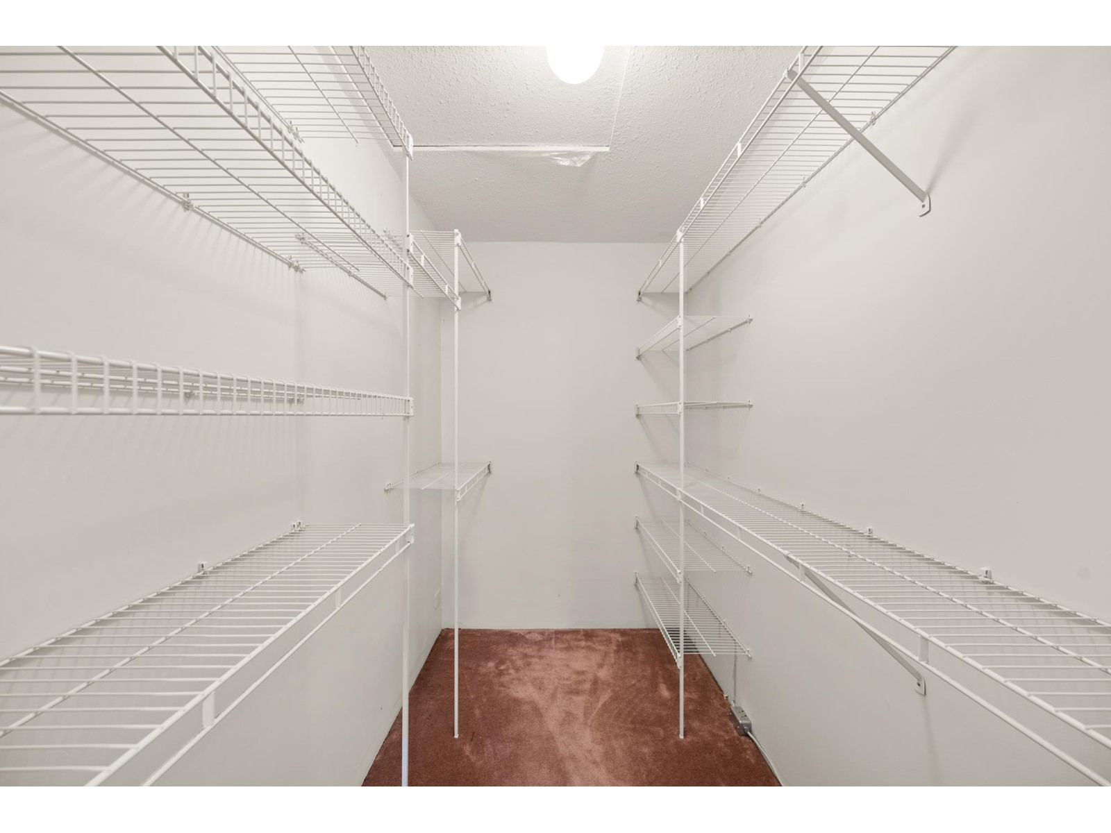12184 57a Avenue, Surrey, British Columbia  V3X 2S3 - Photo 33 - R2967961