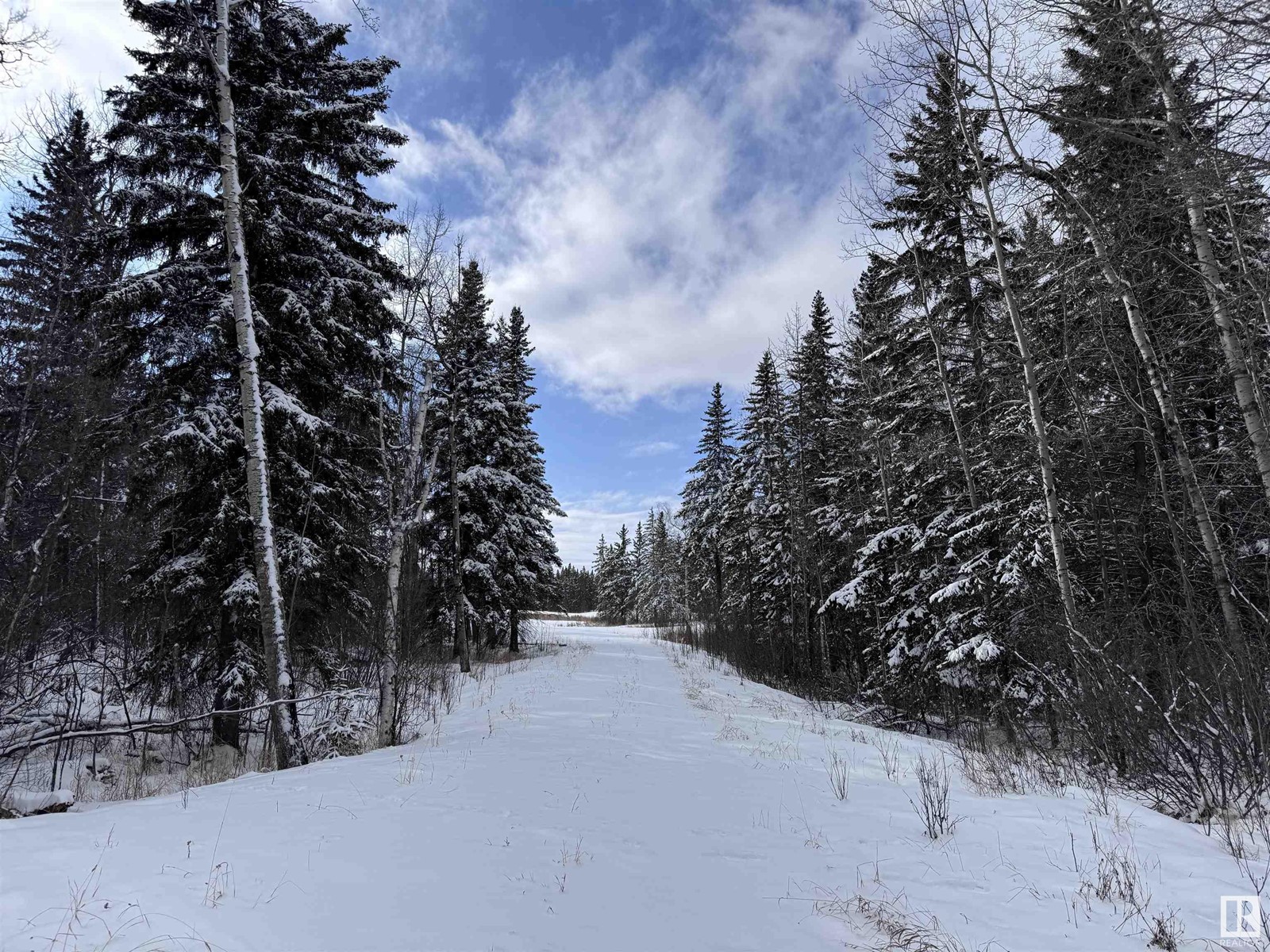 Rge Rd 261 Twp Rd 630, Rural Westlock County, Alberta  T0G 0S0 - Photo 10 - E4425568