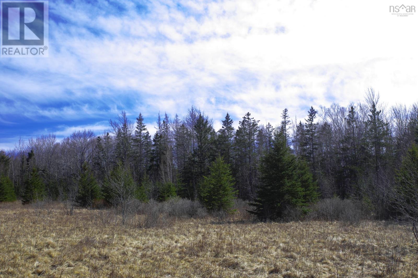 440 Purdy Road, Waldeck West, Nova Scotia  B0S 1J0 - Photo 25 - 202505078