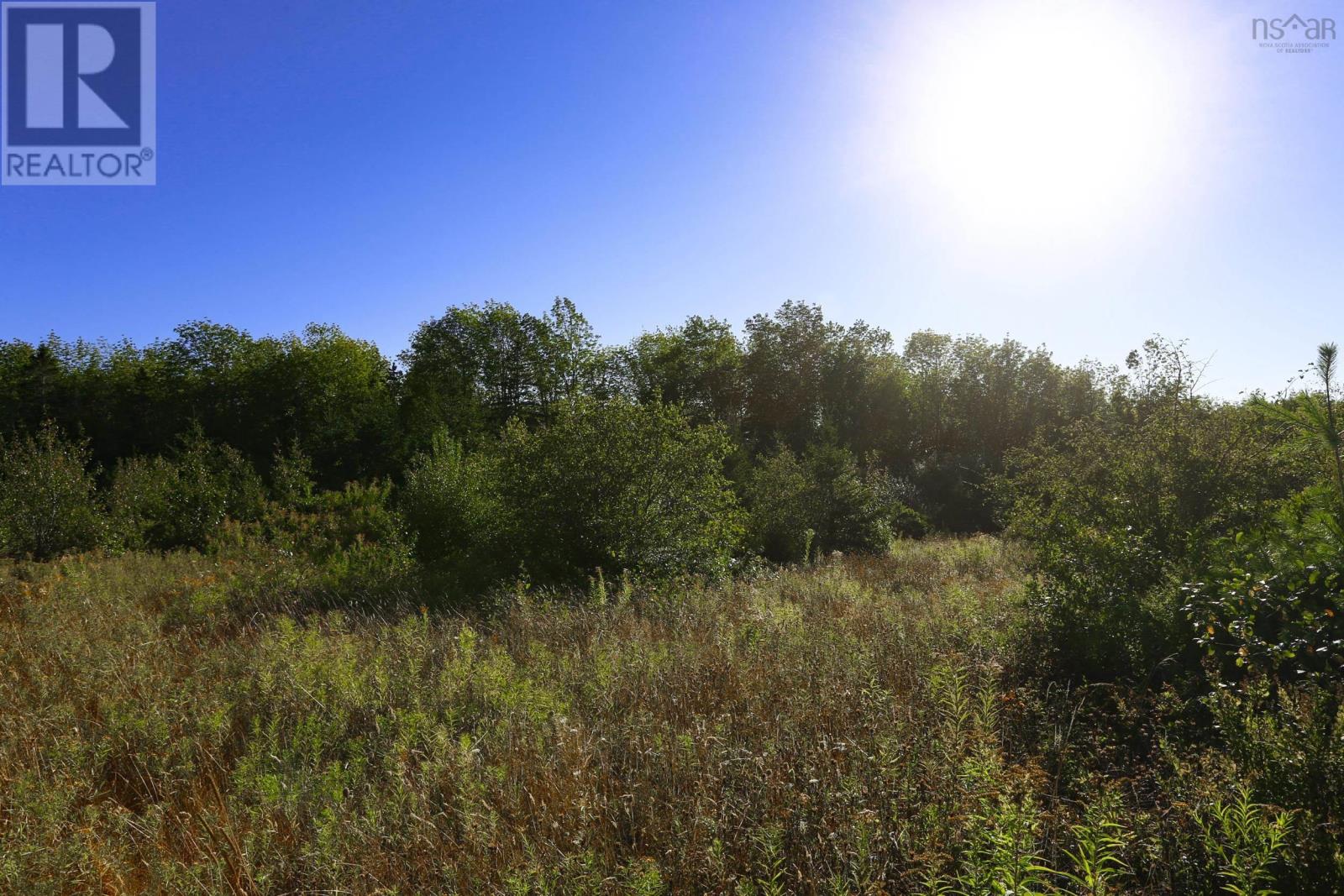 440 Purdy Road, Waldeck West, Nova Scotia  B0S 1J0 - Photo 26 - 202505078