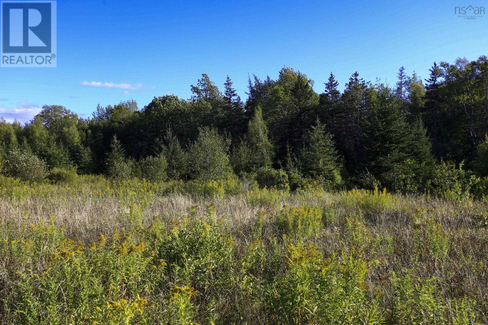 440 Purdy Road, Waldeck West, Nova Scotia  B0S 1J0 - Photo 34 - 202505078