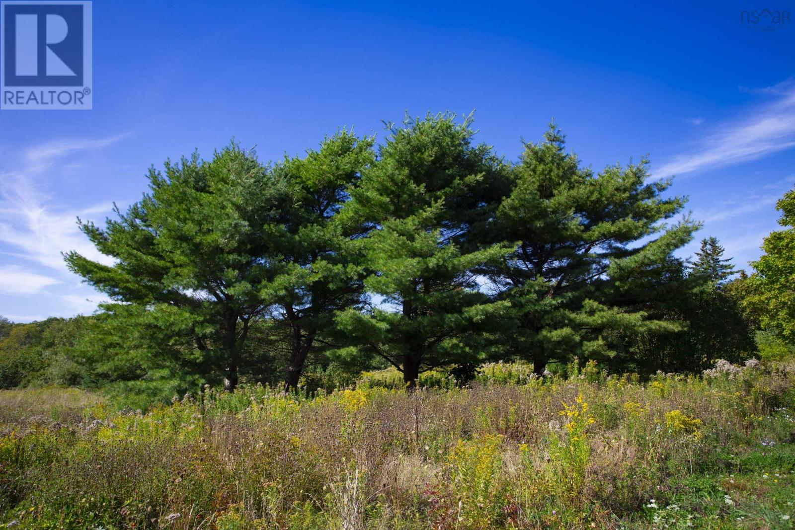 440 Purdy Road, Waldeck West, Nova Scotia  B0S 1J0 - Photo 36 - 202505078