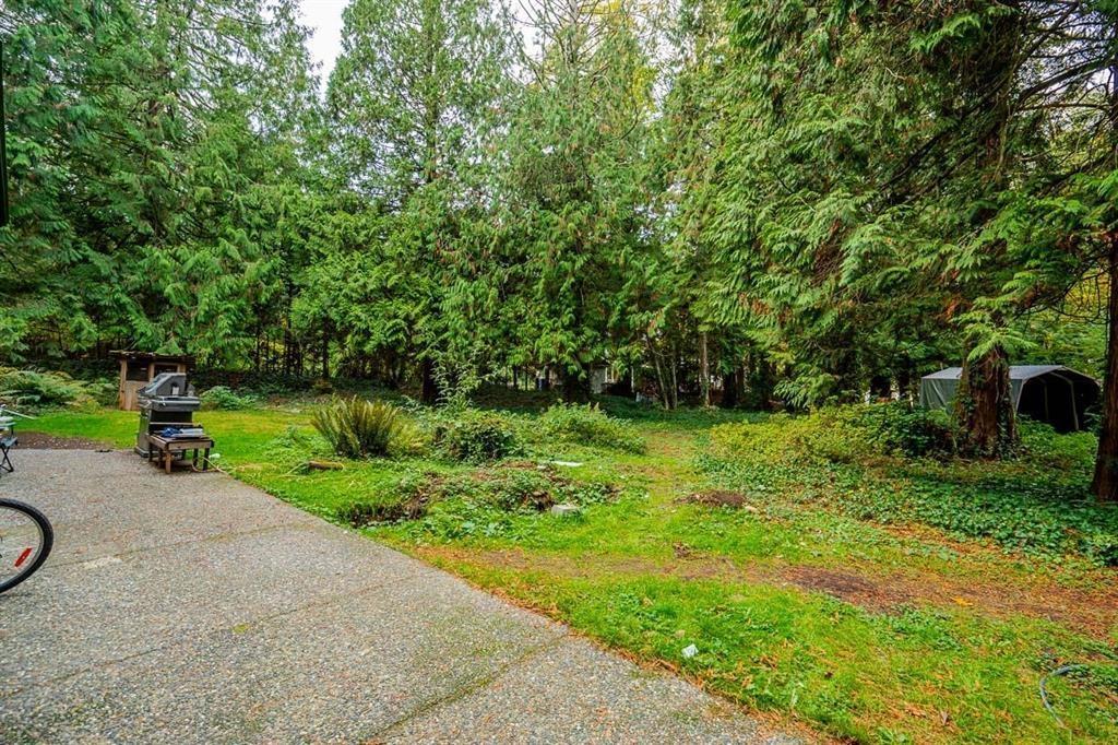 13127 28 Avenue, Surrey, British Columbia  V4P 1K1 - Photo 9 - R2976347