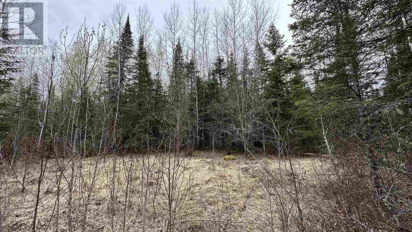 Part 3 823 Coker Road, Kenora, Ontario  P9N 4R4 - Photo 8 - TB250505