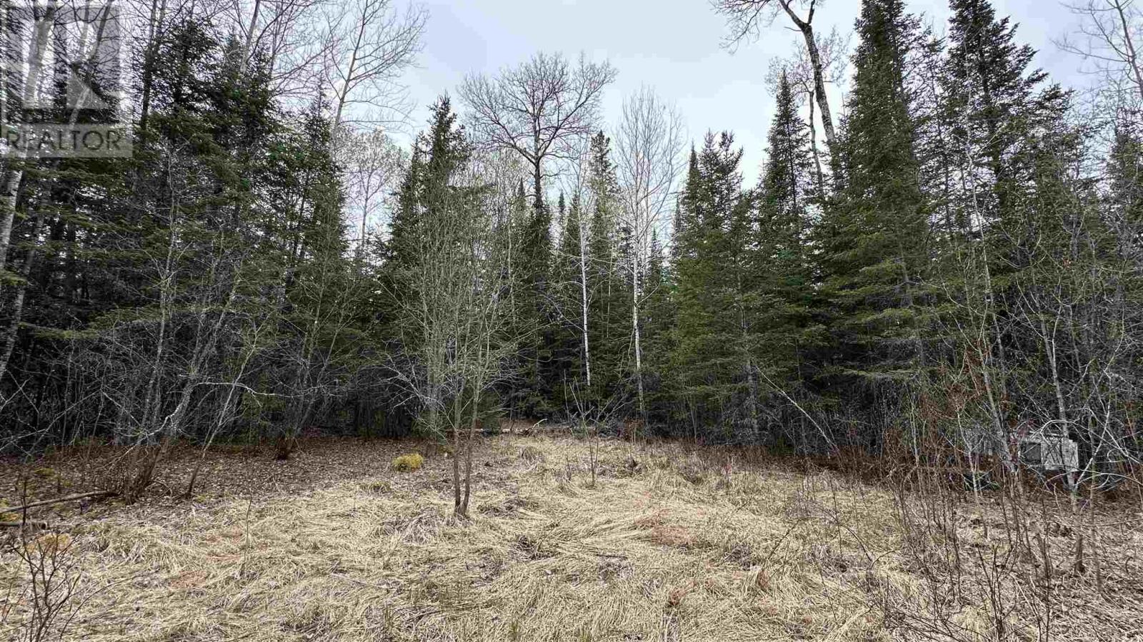 Part 3 823 Coker Road, Kenora, Ontario  P9N 4R4 - Photo 9 - TB250505