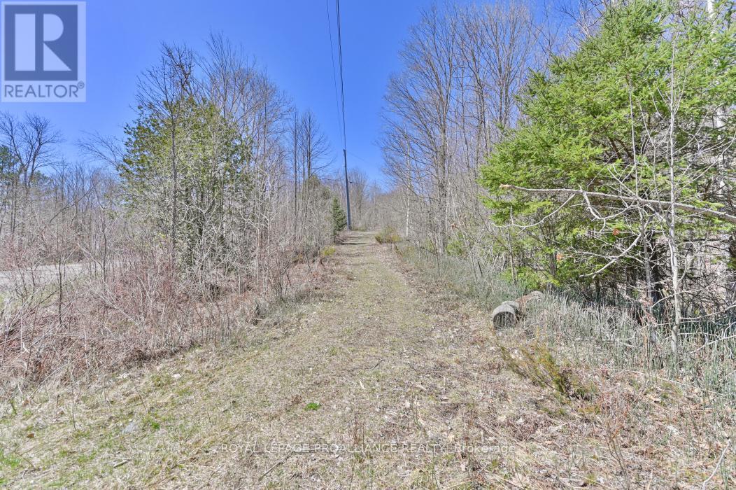 0 Baker Valley & Bebris Road, Central Frontenac, Ontario  K0H 1B0 - Photo 12 - X12024204