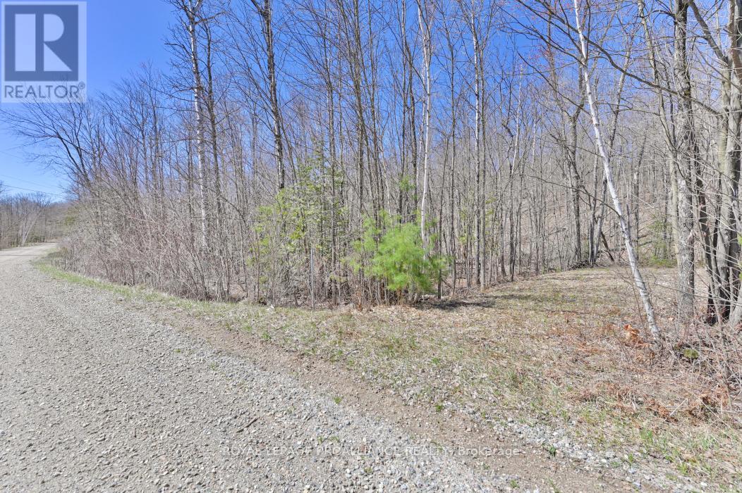 0 Baker Valley & Bebris Road, Central Frontenac, Ontario  K0H 1B0 - Photo 14 - X12024204