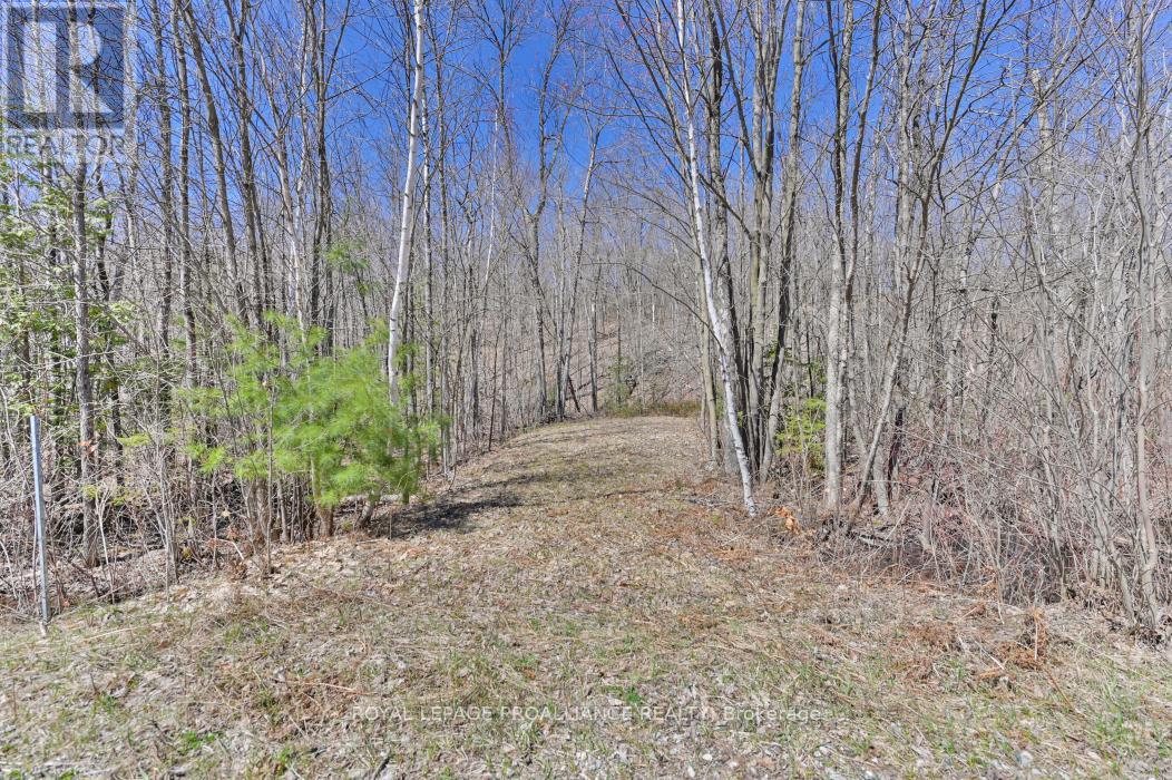 0 Baker Valley & Bebris Road, Central Frontenac, Ontario  K0H 1B0 - Photo 15 - X12024204