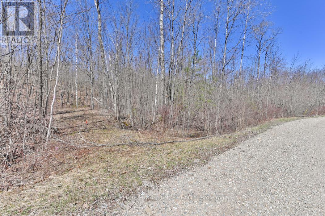 0 Baker Valley & Bebris Road, Central Frontenac, Ontario  K0H 1B0 - Photo 16 - X12024204