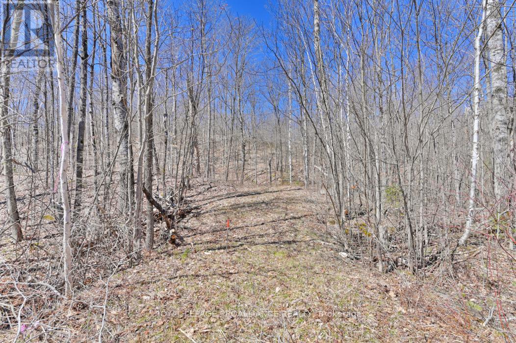 0 Baker Valley & Bebris Road, Central Frontenac, Ontario  K0H 1B0 - Photo 17 - X12024204